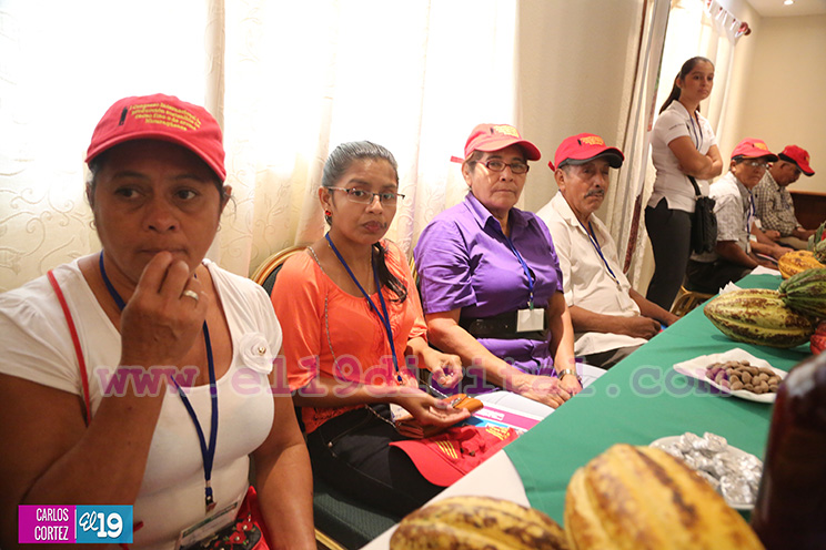 Nicaragua desarrolla Primer Congreso Internacional sobre Producción Sostenible de Cacao Fino